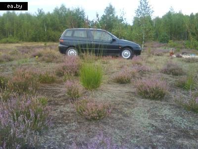   Alfa Romeo 145   