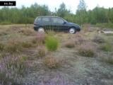  Alfa Romeo 145