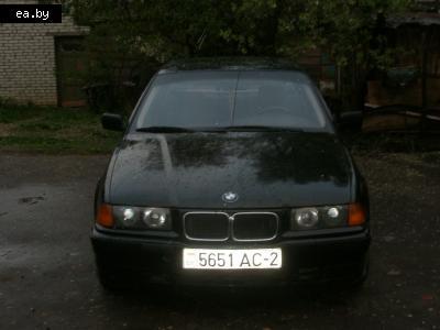 /  BMW 3 Series (E36)  3  36