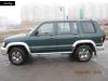   Isuzu